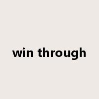 win through是什么意思