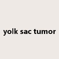 yolk sac tumor是什么意思