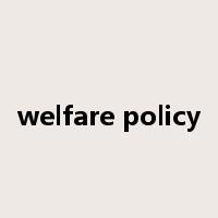 welfare policy是什么意思