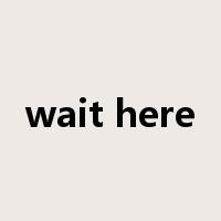 wait here是什么意思