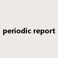 periodic report是什么意思