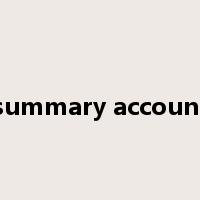 summary account是什么意思