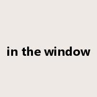 in the window是什么意思