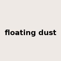 floating dust是什么意思