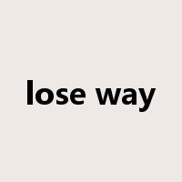 lose way是什么意思