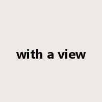 with a view是什么意思