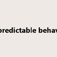 unpredictable behavior是什么意思
