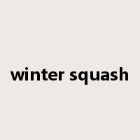 winter squash是什么意思