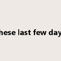 these last few days是什么意思