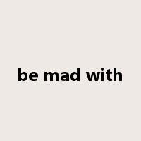 be mad with是什么意思