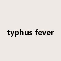 typhus fever是什么意思