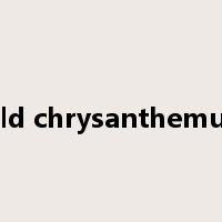 wild chrysanthemum是什么意思