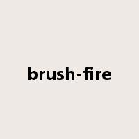 brush-fire是什么意思