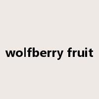 wolfberry fruit是什么意思