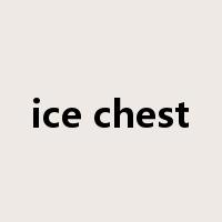ice chest是什么意思