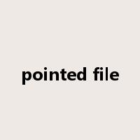 pointed file是什么意思