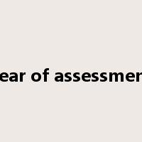 year of assessment是什么意思