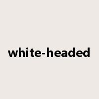 white-headed是什么意思