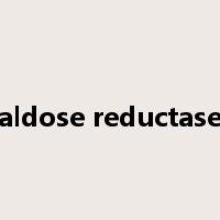 aldose reductase是什么意思
