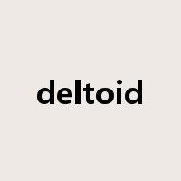 deltoid是什么意思