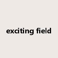 exciting field是什么意思