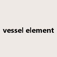 vessel element是什么意思