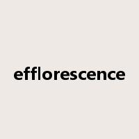 efflorescence是什么意思