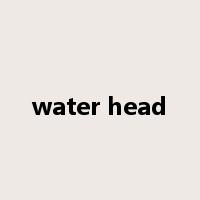 water head是什么意思