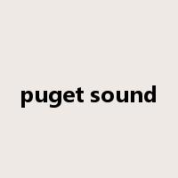 puget sound是什么意思