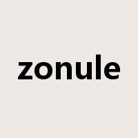 zonule是什么意思