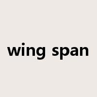wing span是什么意思