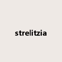 strelitzia是什么意思
