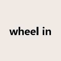 wheel in是什么意思