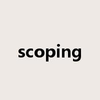 scoping是什么意思