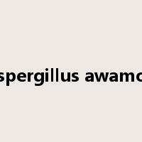 Aspergillus awamori是什么意思
