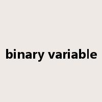binary variable是什么意思