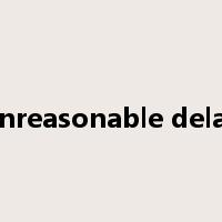 unreasonable delay是什么意思