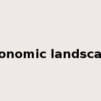 economic landscape是什么意思