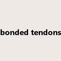 bonded tendons是什么意思