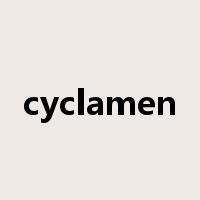 cyclamen是什么意思