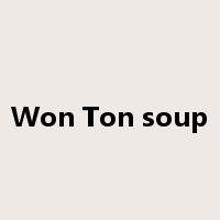 Won Ton soup是什么意思