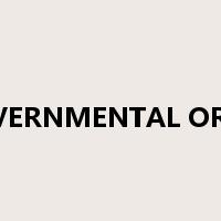 C&E NONGOVERNMENTAL ORGANIZATION是什么意思