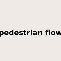 pedestrian flow是什么意思