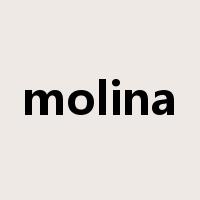 molina是什么意思