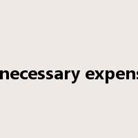unnecessary expenses是什么意思
