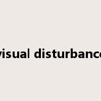 visual disturbance是什么意思