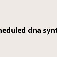 unscheduled dna synthesis是什么意思