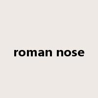 roman nose是什么意思