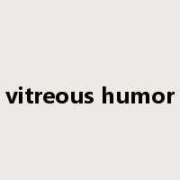 vitreous humor是什么意思