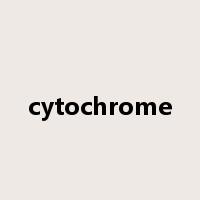 cytochrome是什么意思